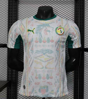 Visuel 1 — Maillot Sénégal Coupe du monde 2026