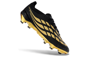 Visuel 6 — PREDATOR ACCURACY FG