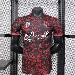 Visuel 1 — Maillot Palestine concept 2025-26