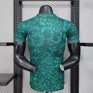 Visuel 2 — Maillot Palestine concept 2025-26