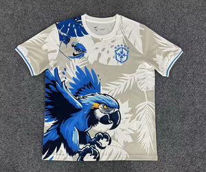 Visuel 1 — Maillot Brésil concept 2025-26