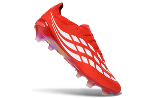 Visuel 2 — PREDATOR ACCURACY FG