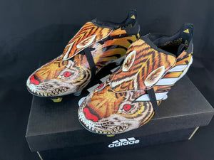Visuel 4 — 26 Predator Elite Tongue FG