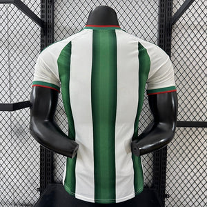 Visuel 2 — Maillot Mexique Concept 2026