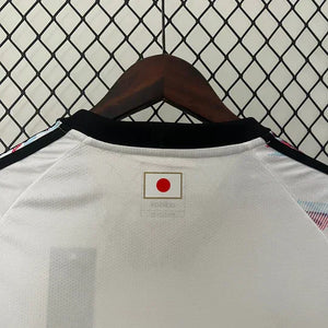 Visuel 6 — MAILLOT JAPON CONCEPT ZORO ONE PIECE 2023/24