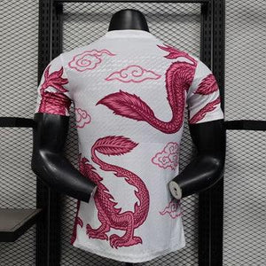 Visuel 2 — Maillot Japon concept 2025