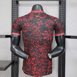 Visuel 2 — Maillot Palestine concept 2025-26