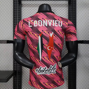 Visuel 2 — Maillot Palestine concept 2025-26