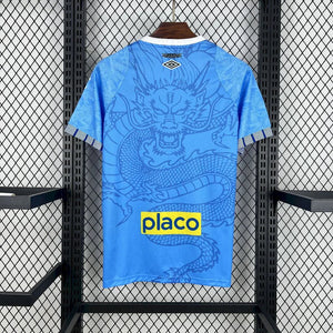 Visuel 2 — Maillot Santos concept 2025-26