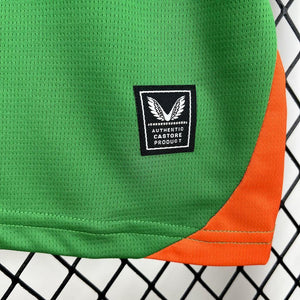 Visuel 6 — Maillot Irlande 2025
