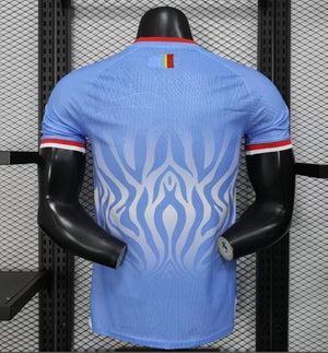 Visuel 2 — Maillot Congo Coupe du monde 2026