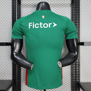 Visuel 2 — Maillot Palmeiras 2026-27