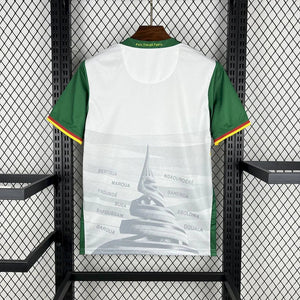 Visuel 7 — Maillot Cameroun CAN 2025-26