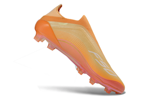 Visuel 3 — F50 FG
