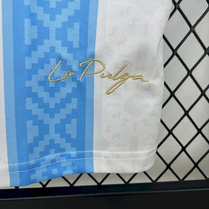 Visuel 4 — Maillot Argentine Foot 2025 2026 concept