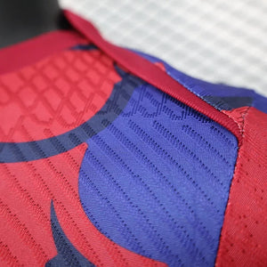 Visuel 9 — Maillot foot FC Barcelone 2024 2025 Pre-Match