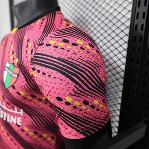 Visuel 4 — Maillot Palestine concept 2025-26