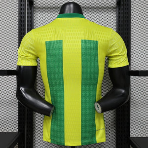 Visuel 2 — Maillot Brésil Concept 2026