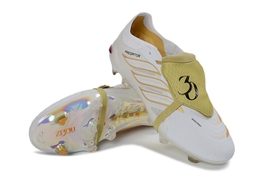 Visuel 4 — PREDATOR ACCURACY FG