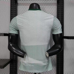 Visuel 2 — Maillot Mexique concept 2026