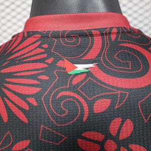 Visuel 5 — Maillot Palestine concept 2025-26