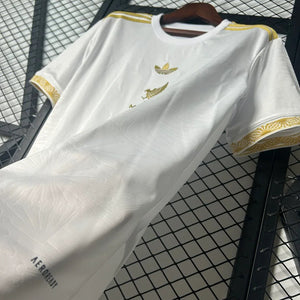 Visuel 5 — Maillot Mexique concept 2025