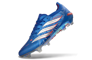 Visuel 2 — PREDATOR ACCURACY FG