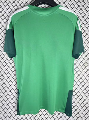 Visuel 2 — Maillot Algérie concept 2026