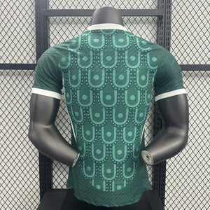 Visuel 2 — Maillot Mexique concept 2025