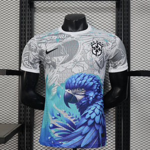 Visuel 1 — Maillot Brésil saison 2025-2026 édition spéciale