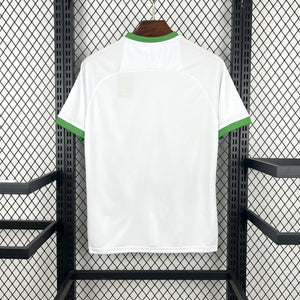 Visuel 2 — Maillot Irlande Concept 2026