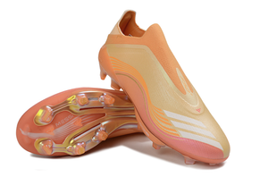 Visuel 4 — F50 FG