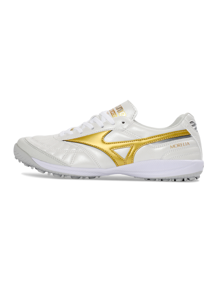 MORELIA NEO4