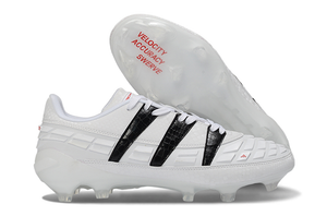 Visuel 2 — PREDATOR ACCELERATOR 94 FG