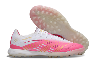 Visuel 2 — Predator 25 Elite IC Boots