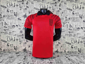 Visuel 1 — MAILLOT CORÉE DU SUD DOMICILE 2022