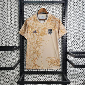 Visuel 1 — MAILLOT ARGENTINE ÉDITION SPÉCIALE 2023/24