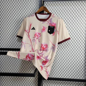 Visuel 2 — MAILLOT JAPON 2024/25 CONCEPT
