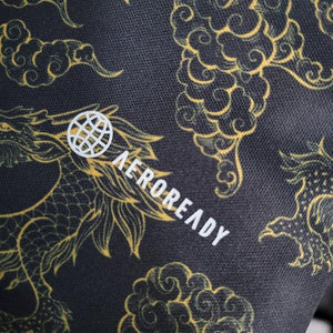 Visuel 8 — Maillot Japon concept 2023 2024 Dragon