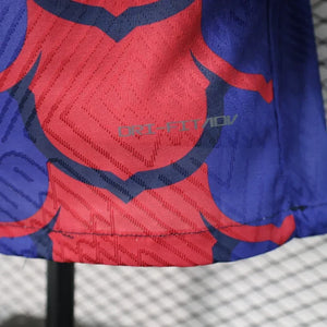 Visuel 11 — Maillot foot FC Barcelone 2024 2025 Pre-Match