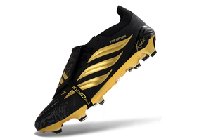 Visuel 6 — PREDATOR ACCURACY FG
