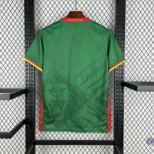 Visuel 2 — Maillot Cameroun 2025 Domicile