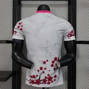 Visuel 2 — Maillot Japon concept 2025-26