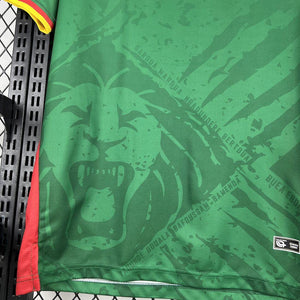 Visuel 5 — Maillot Cameroun CAN 2025-26