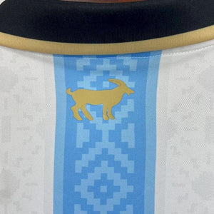 Visuel 7 — Maillot Argentine Foot 2025 2026 concept